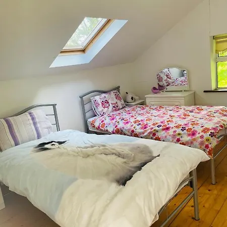 Dom wakacyjny Clonmines