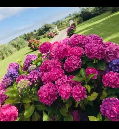 Semesterbostad Clonmines Wexford