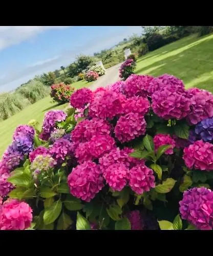 Feriehus Clonmines Wexford